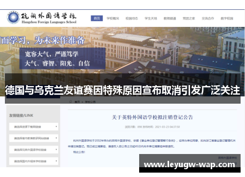 德国与乌克兰友谊赛因特殊原因宣布取消引发广泛关注